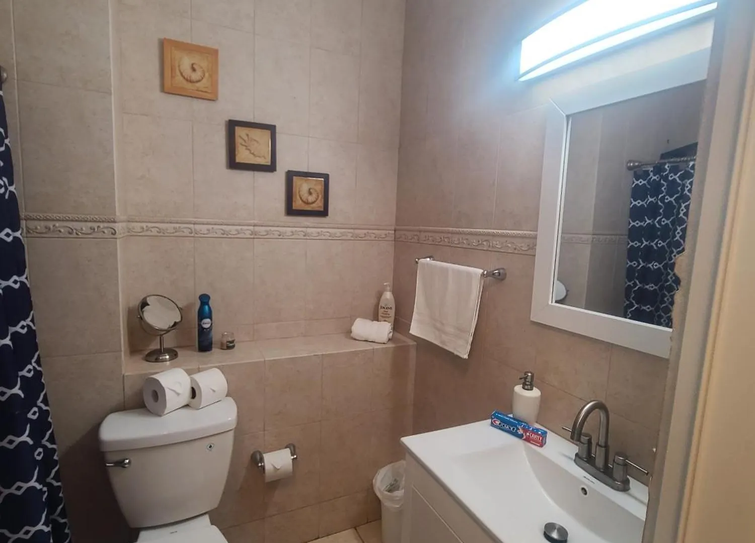 Dorado Beach Condo