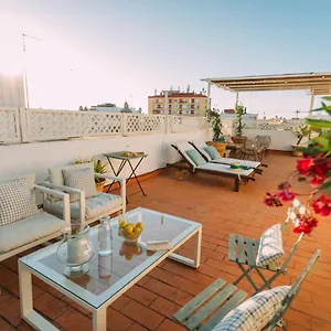 https://tico-con-terraza-en-el-centro-de-sevilla.es-andalucia.com